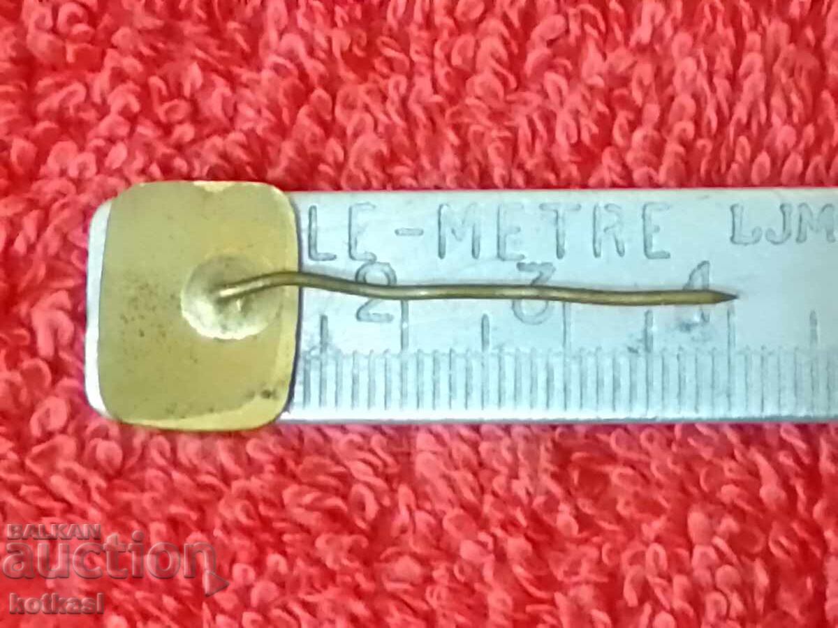 Old social badge bronze pin white enamel Bulgarian rose excellent with price 10.50 BGN | € 5.37 Old social badge bronze pin white enamel Bulgarian rose excellent with price 10.50 BGN | € 5.37