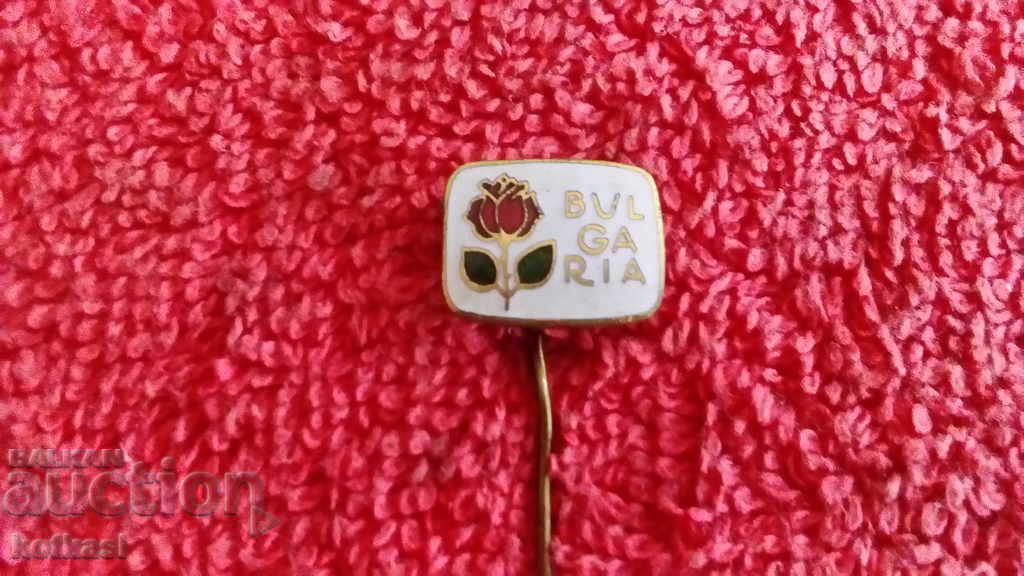 Delivery of Old social badge bronze pin white enamel Bulgarian rose excellent Delivery of Old social badge bronze pin white enamel Bulgarian rose excellent