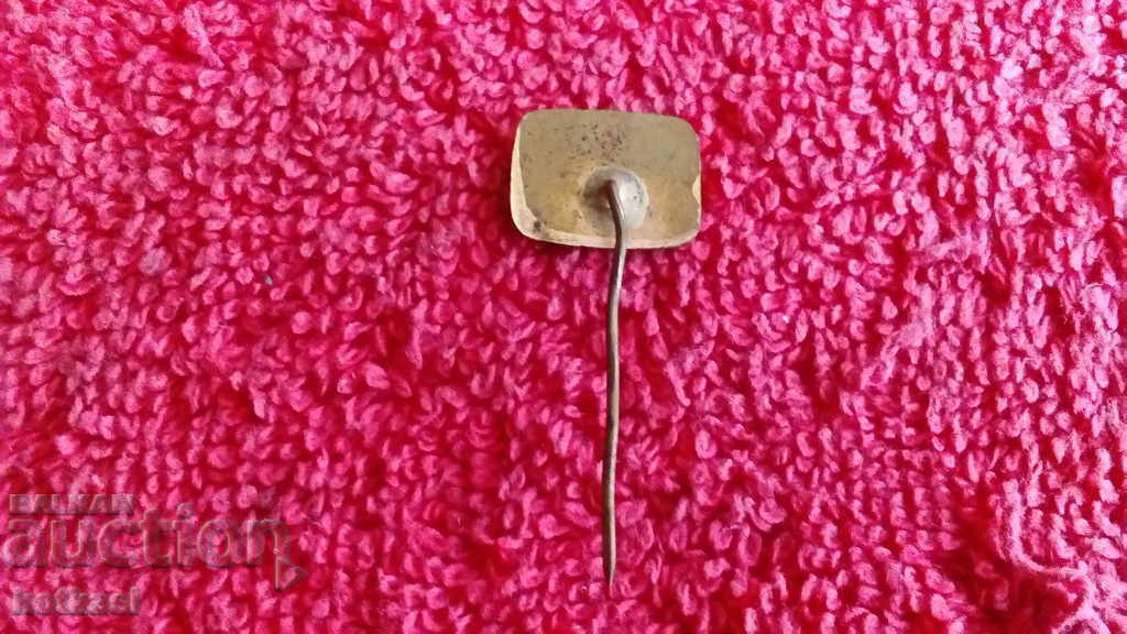 Old social badge bronze pin white enamel Bulgarian rose excellent - 5 Old social badge bronze pin white enamel Bulgarian rose excellent - 5