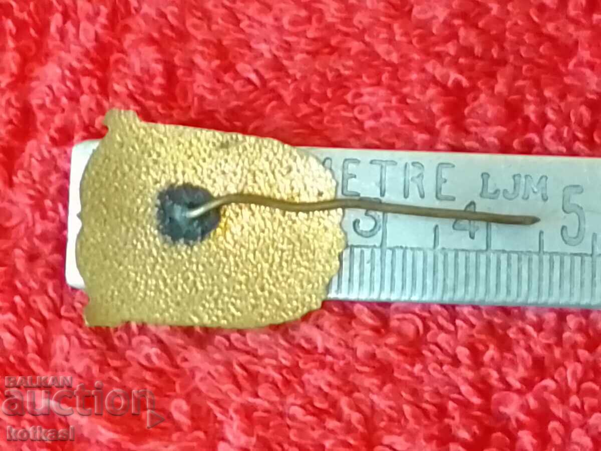 Old social badge bronze enamel pin Stara Zagora excellent with price 21.50 BGN | € 10.99