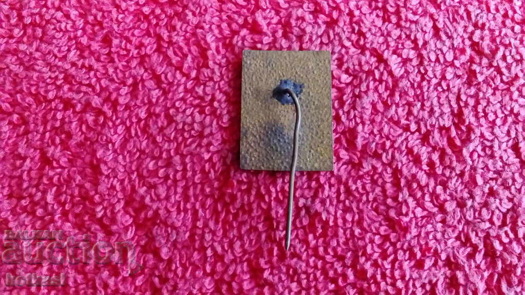 Delivery of Old badge bronze enamel pin TROJAN REVOLUTIONARY COMMITTEE Delivery of Old badge bronze enamel pin TROJAN REVOLUTIONARY COMMITTEE