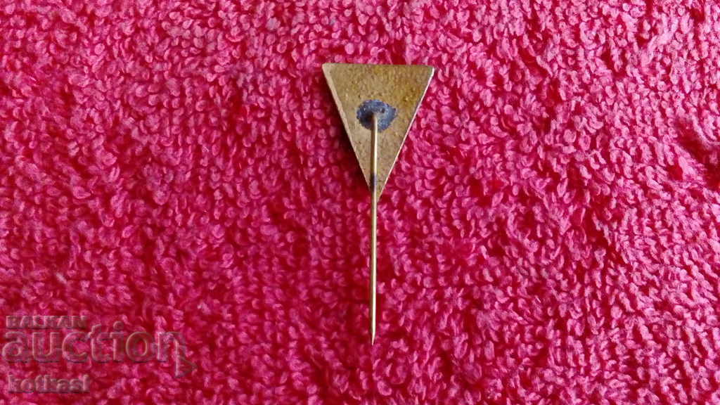 Delivery of Old badge bronze enamel pin HOR KAVAL 1927 music excellent Delivery of Old badge bronze enamel pin HOR KAVAL 1927 music excellent