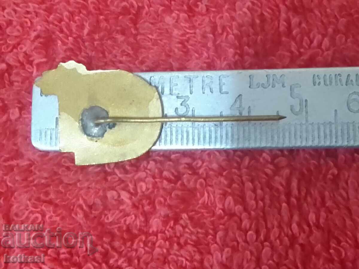 Old social badge bronze enamel pin YOUNG TOURIST excellent with price 10.50 BGN | € 5.37 Old social badge bronze enamel pin YOUNG TOURIST excellent with price 10.50 BGN | € 5.37