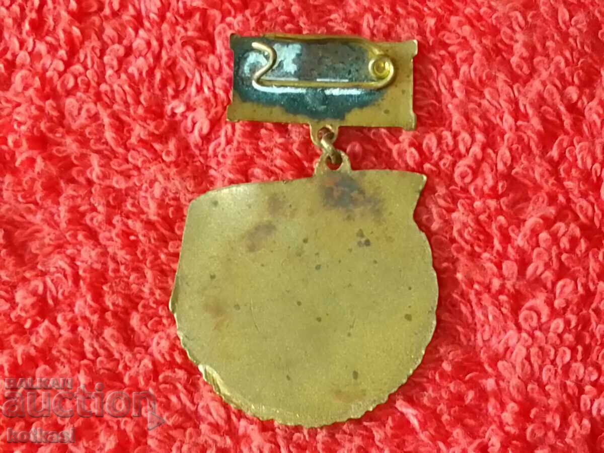 Star Badge Medal bronze enamel Public Instructor DOSO with price 6.50 BGN | € 3.32 Star Badge Medal bronze enamel Public Instructor DOSO with price 6.50 BGN | € 3.32
