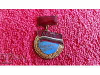 Medală cu semn de stele Email bronz Instructor public DOSO