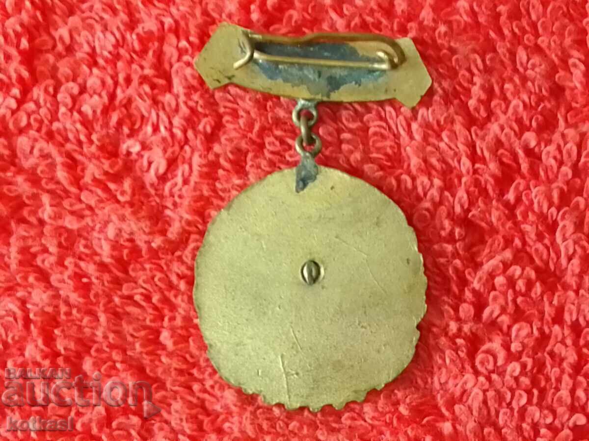 Old Badge bronze enamel MEDAL FOR ACTIVE WORK DSNM with price 25.50 BGN | € 13.04