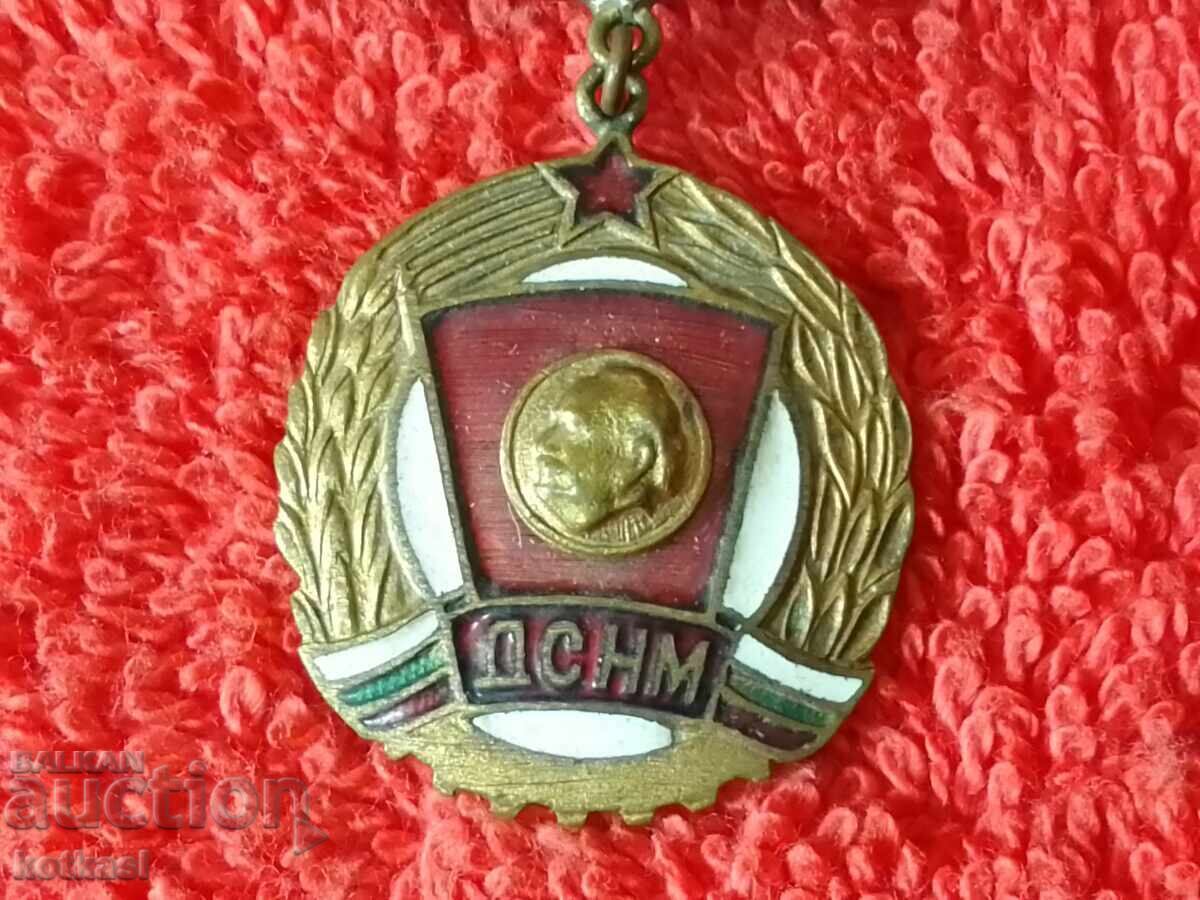 Delivery of Old Badge bronze enamel MEDAL FOR ACTIVE WORK DSNM