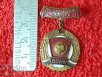 Old Badge bronze enamel MEDAL FOR ACTIVE WORK DSNM