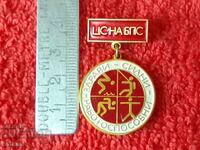 Vechi semn CS BPS DIMITROVGRAD SANATOS, PUTERNIC, CAPAT DE MUNCĂ