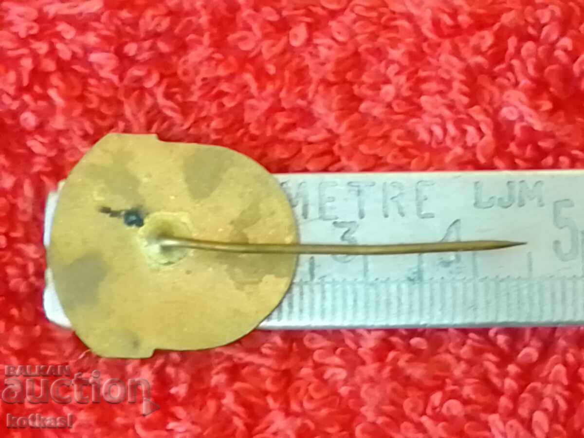 Old social badge bronze pin Excellent GO NR BULGARIA with price 10.50 BGN | € 5.37 Old social badge bronze pin Excellent GO NR BULGARIA with price 10.50 BGN | € 5.37