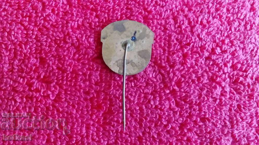 Livrarea Vechi insignă socială pin bronz Excelent GO NR BULGARIA Livrarea Vechi insignă socială pin bronz Excelent GO NR BULGARIA