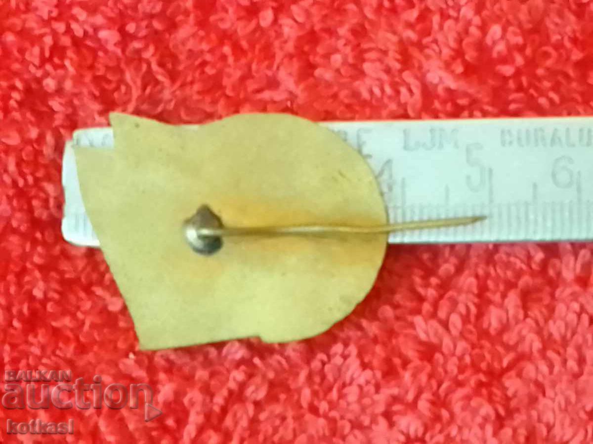 Παλιό, μαζικό σοσιαλιστικό σήμα, χάλκινη καρφίτσα, σμάλτο, ΑΡΙΣΤΟΣ ΓΚΟΥΠ με τιμή 21.00 BGN | € 10.74