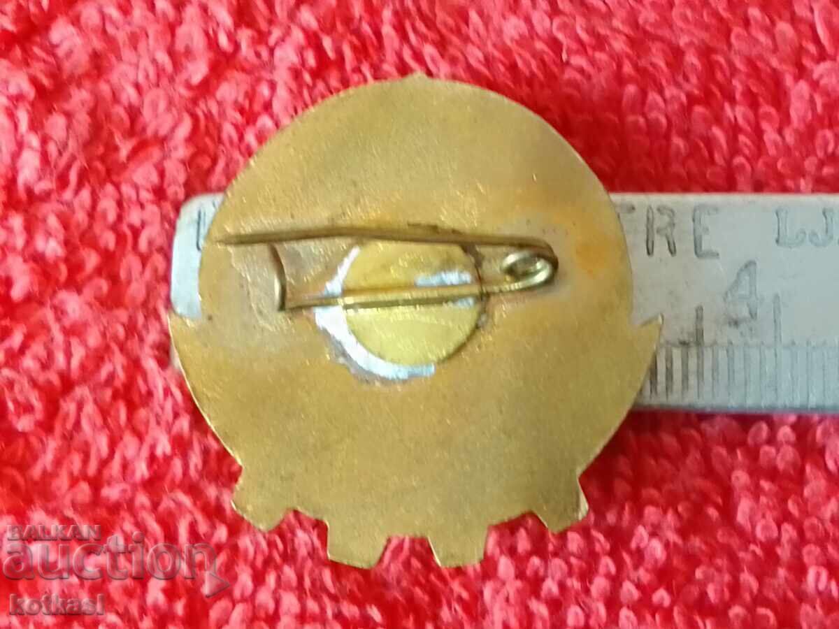 Old social sign enamel badge EXCELLENT PERFORMER IN PHYSICAL EDUCATION with price 12.50 BGN | € 6.39