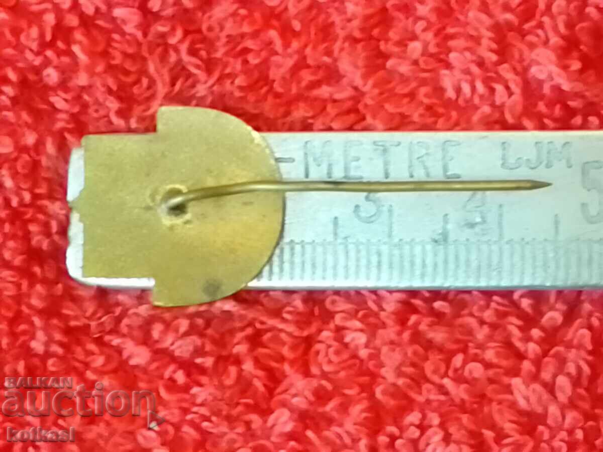 Old badge bronze pin enamel Excellent student committee PO culture with price 25.00 BGN | € 12.78 Old badge bronze pin enamel Excellent student committee PO culture with price 25.00 BGN | € 12.78