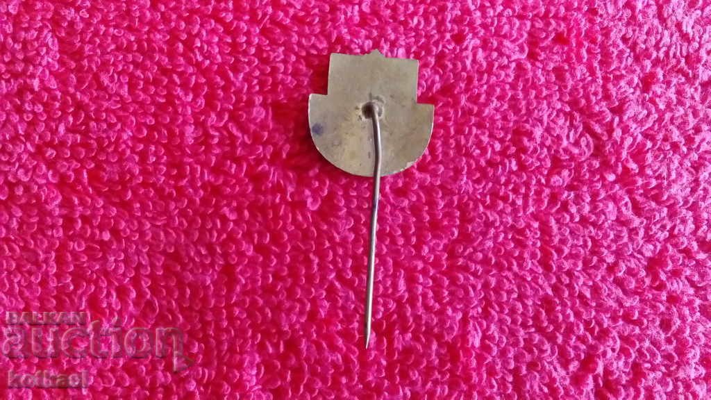 Old badge bronze pin enamel Excellent student committee PO culture - 5 Old badge bronze pin enamel Excellent student committee PO culture - 5