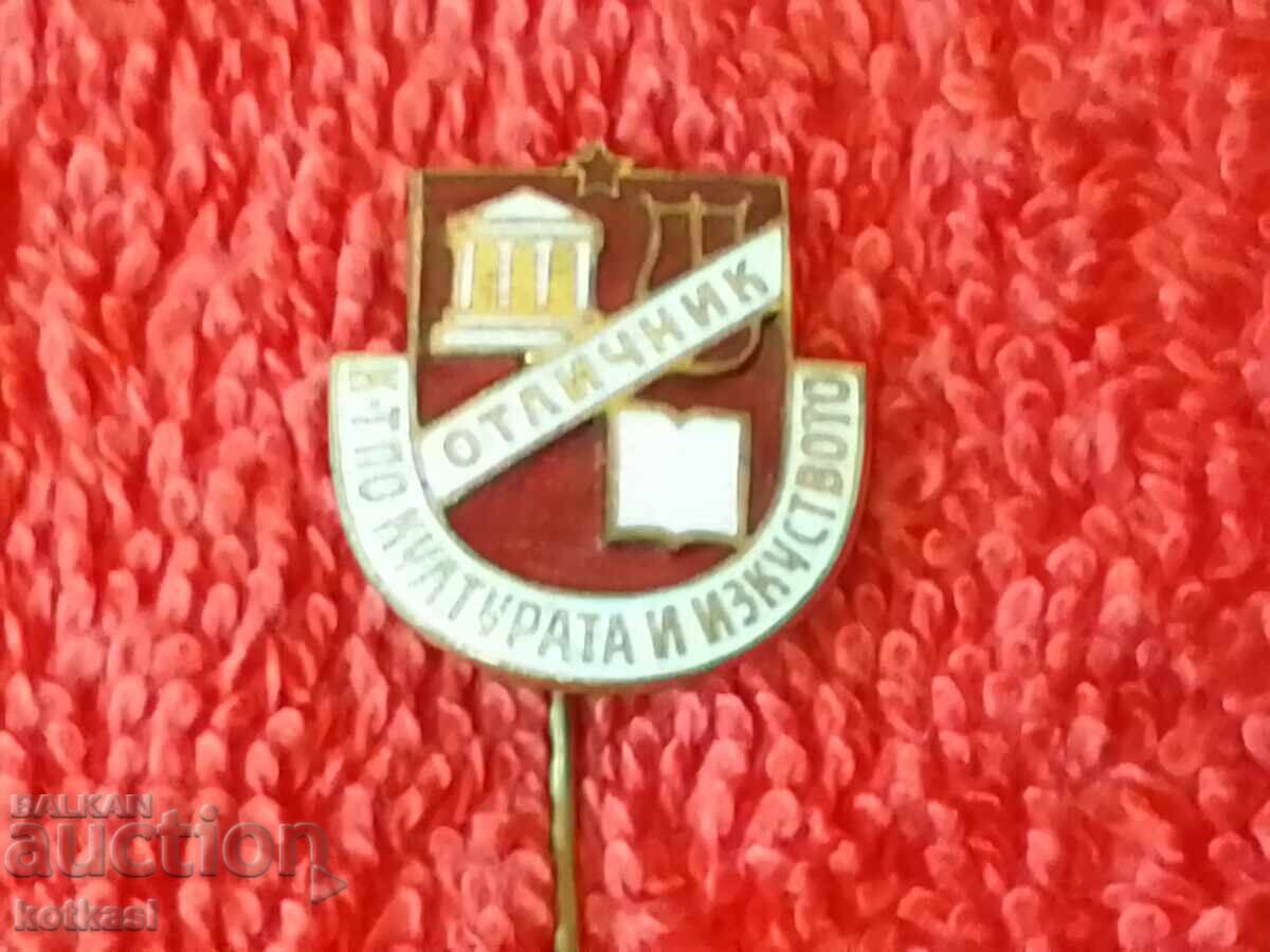 Old badge bronze pin enamel Excellent student committee PO culture - 6 Old badge bronze pin enamel Excellent student committee PO culture - 6