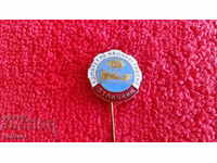 Badge bronze needle enamel EXCELLENT COMMITTEE MACHINERY