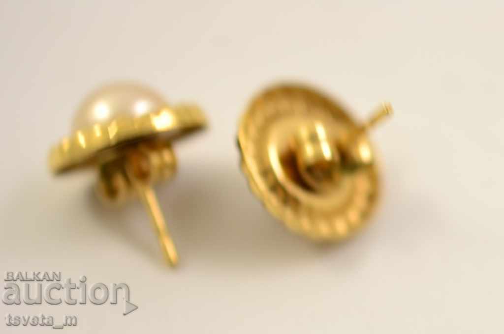 Delivery of Earrings Delivery of Earrings