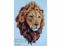 LION, portrait, painting