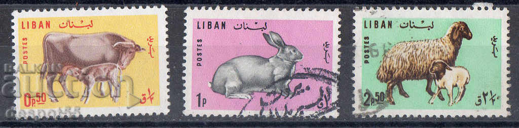 1965. Λίβανος. Τα κατοικίδια ζώα.