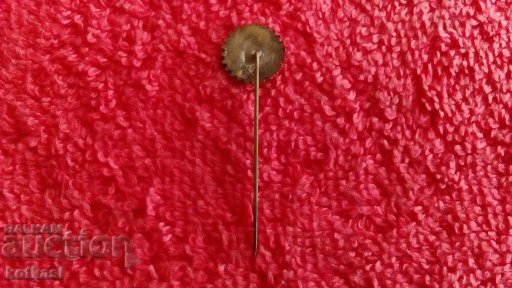 Old Royal Badge Bronze Pin M AND VARNA excellent - 5 Old Royal Badge Bronze Pin M AND VARNA excellent - 5