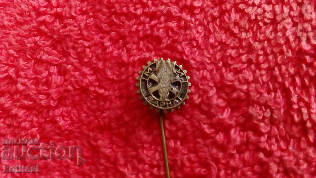 Old Royal Badge Bronze Pin M AND VARNA excellent