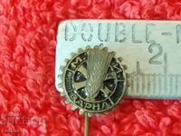 Old Royal Badge Bronze Pin M AND VARNA excellent