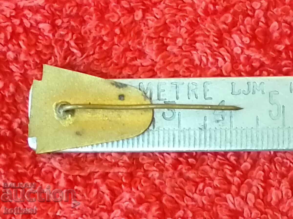 Old badge bronze needle enamel acquired specialty class C with price 25.50 BGN | € 13.04 Old badge bronze needle enamel acquired specialty class C with price 25.50 BGN | € 13.04