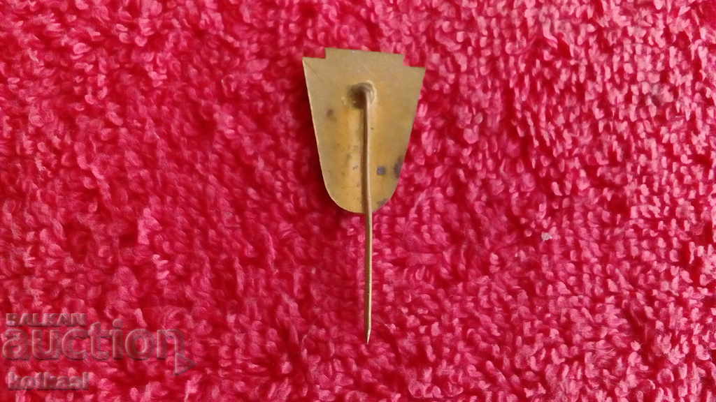 Old badge bronze needle enamel acquired specialty class C - 5 Old badge bronze needle enamel acquired specialty class C - 5