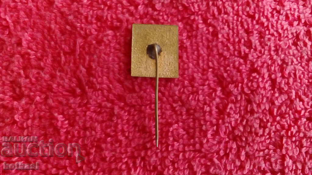 Стара значка бронз емайл България BULGARIA агромашимпекс - 5 Стара значка бронз емайл България BULGARIA агромашимпекс - 5