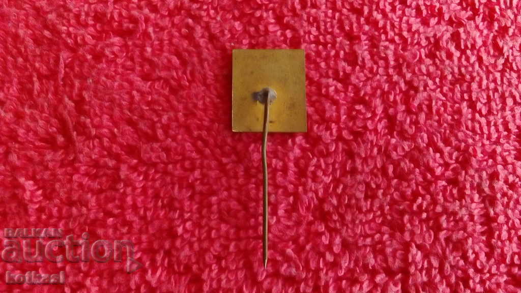 Delivery of Old social badge bronze pin enamel elprom BUIGARIA excellent