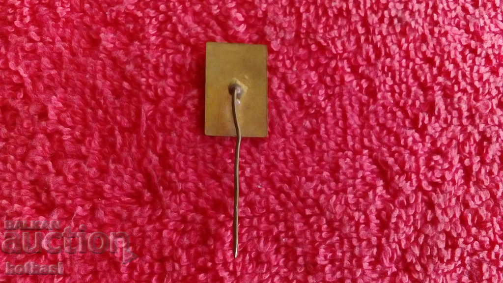 Delivery of Old social badge bronze needle enamel BULGARIA Bulgaria