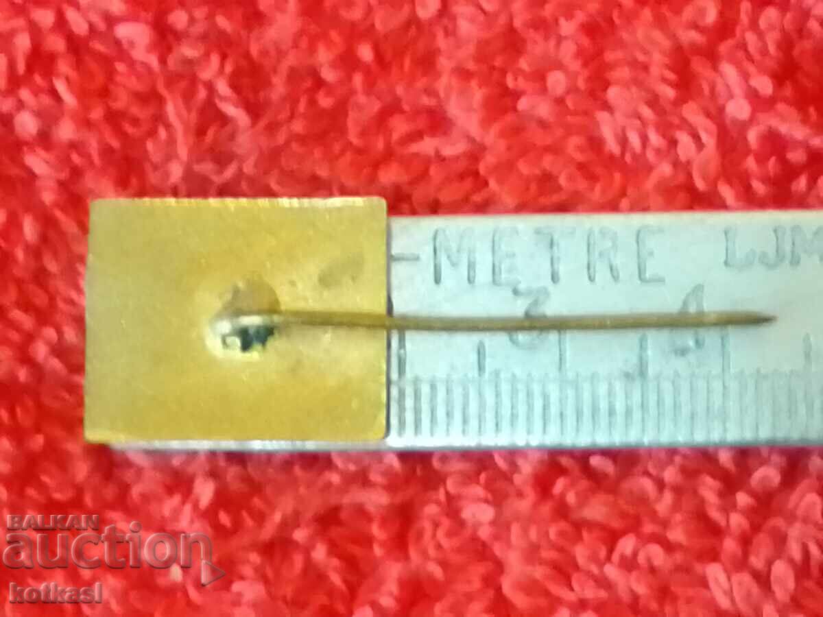 Old social badge bronze pin enamel BULGARIA Bulgaria Rhodope with price 7.50 BGN | € 3.83 Old social badge bronze pin enamel BULGARIA Bulgaria Rhodope with price 7.50 BGN | € 3.83