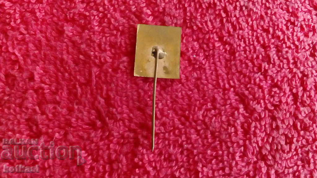 Delivery of Old social badge bronze pin enamel BULGARIA Bulgaria Rhodope Delivery of Old social badge bronze pin enamel BULGARIA Bulgaria Rhodope