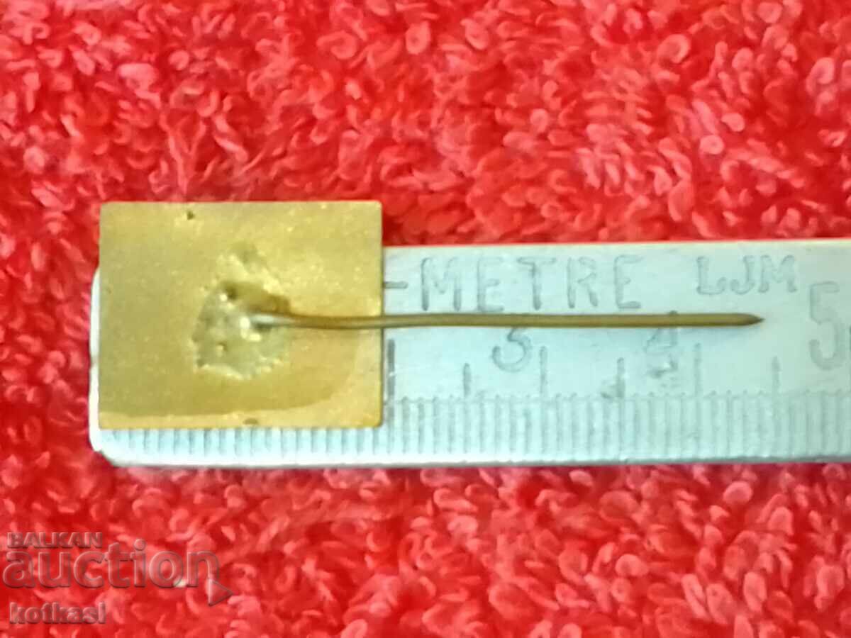 Стара соц значка бронз игла емайл BULGARIA България родопа с цена 7.50 лв. | € 3.83 Стара соц значка бронз игла емайл BULGARIA България родопа с цена 7.50 лв. | € 3.83