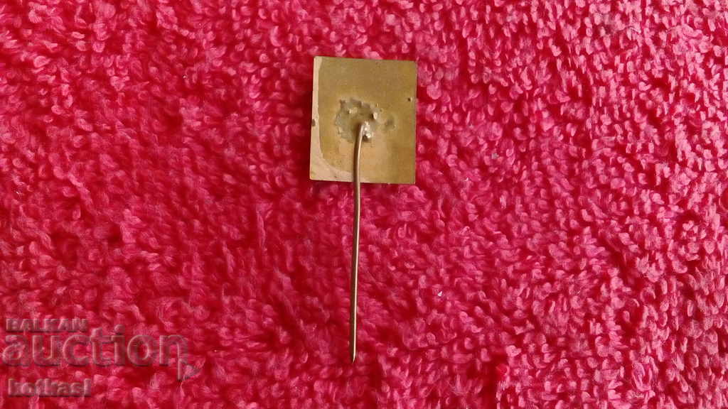 Стара соц значка бронз игла емайл BULGARIA България родопа - 5 Стара соц значка бронз игла емайл BULGARIA България родопа - 5