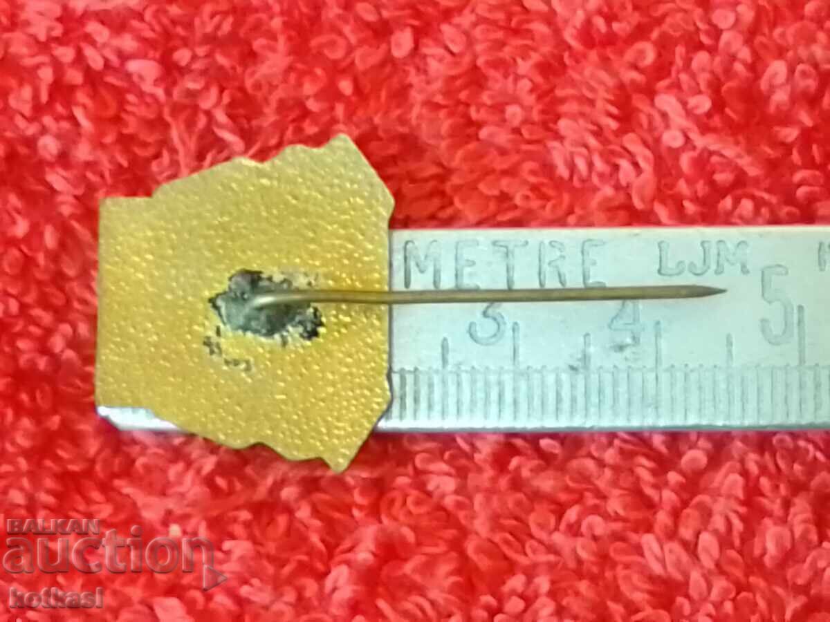 Old social badge bronze pin enamel MUSALA excellent with price 125.50 BGN | € 64.17 Old social badge bronze pin enamel MUSALA excellent with price 125.50 BGN | € 64.17