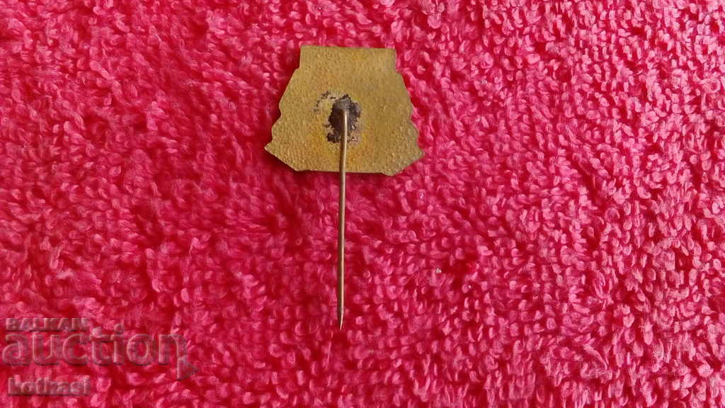 Old social badge bronze pin enamel MUSALA excellent - 6 Old social badge bronze pin enamel MUSALA excellent - 6