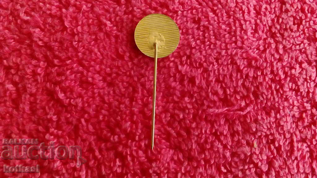 Old bronze LENIN pin badge excellent - 5 Old bronze LENIN pin badge excellent - 5