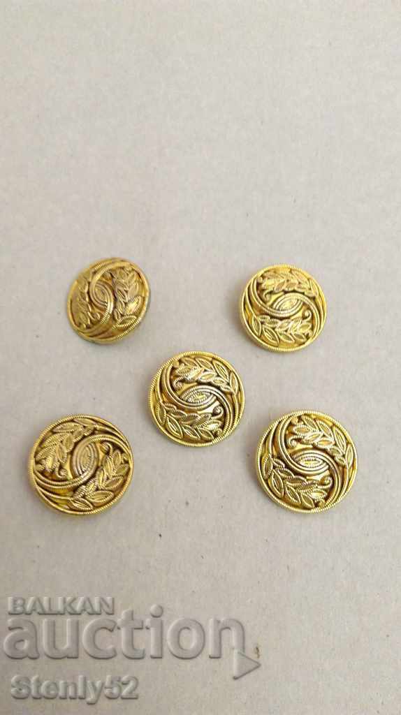 5 plastic buttons with gold glitter