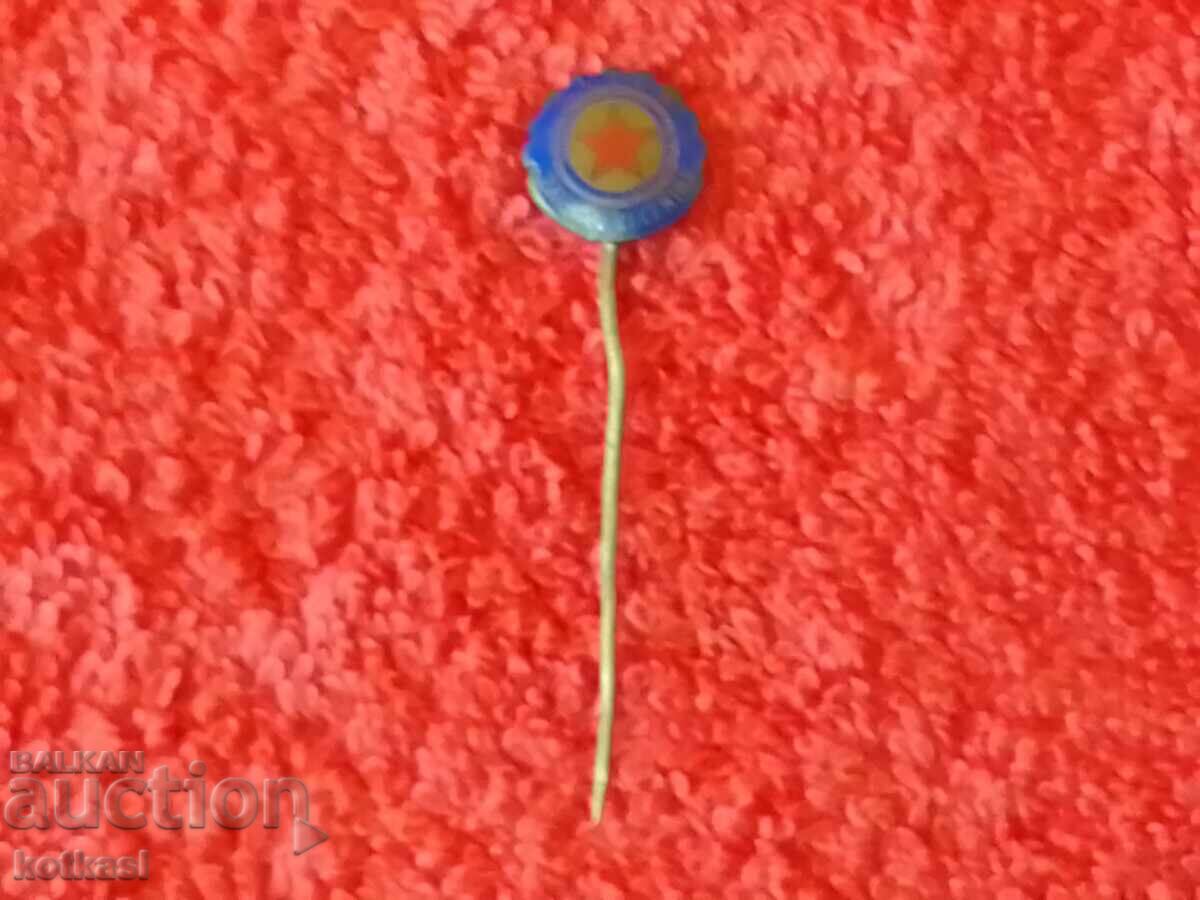 Auction Old badge bronze pin Czechoslovakia PLZEN ZAVODI V.I.LENINA Auction Old badge bronze pin Czechoslovakia PLZEN ZAVODI V.I.LENINA
