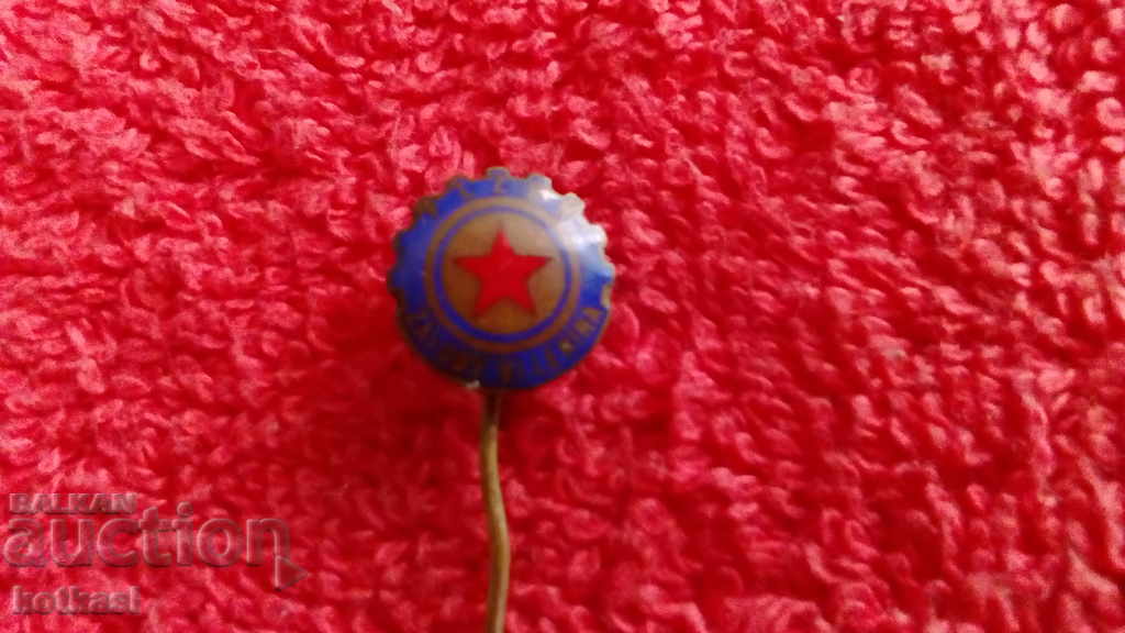 Delivery of Old badge bronze pin Czechoslovakia PLZEN ZAVODI V.I.LENINA Delivery of Old badge bronze pin Czechoslovakia PLZEN ZAVODI V.I.LENINA