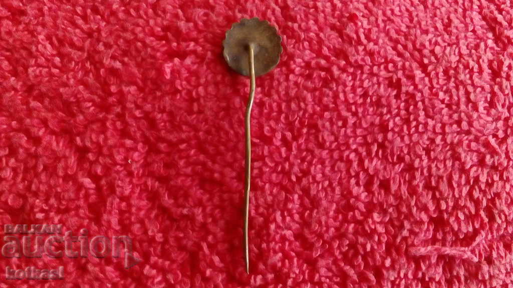 Old badge bronze pin Czechoslovakia PLZEN ZAVODI V.I.LENINA - 5 Old badge bronze pin Czechoslovakia PLZEN ZAVODI V.I.LENINA - 5