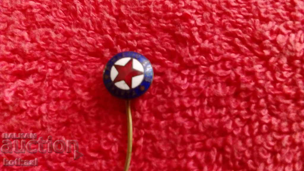 Old sports badge bronze needle enamel SPARTA Sparta Prague with price 10.50 BGN | € 5.37