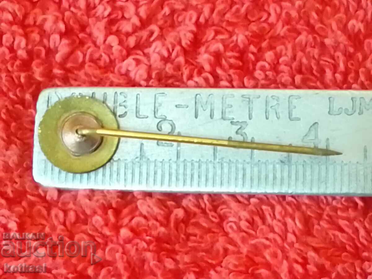 Стара значка бронз игла емайл с цена 2.50 лв. | € 1.28 Стара значка бронз игла емайл с цена 2.50 лв. | € 1.28