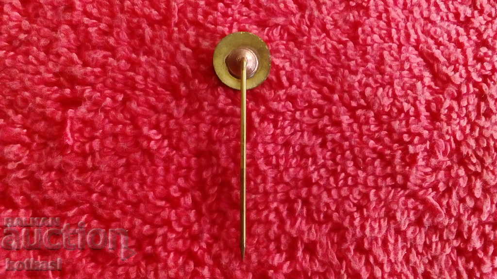 Стара значка бронз игла емайл - 5 Стара значка бронз игла емайл - 5