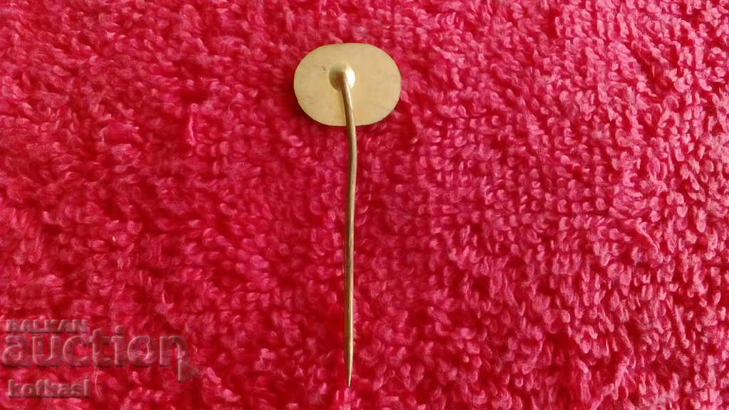 Delivery of Old Sports Badge Bronze Pin Volleyball BVBV FBVB