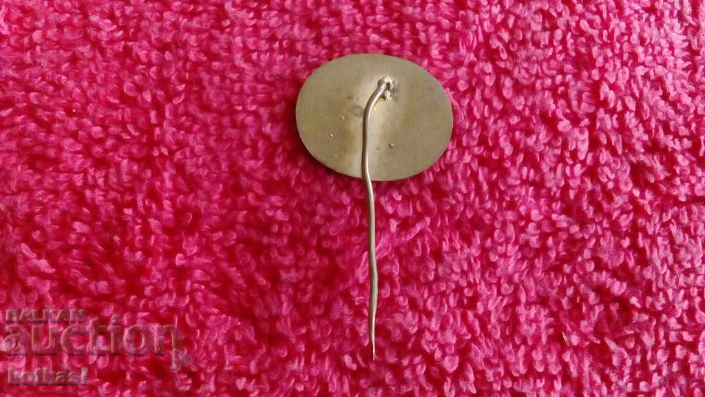 Spartakiad Czechoslovakia 1975 old sport pin badge - 5 Spartakiad Czechoslovakia 1975 old sport pin badge - 5