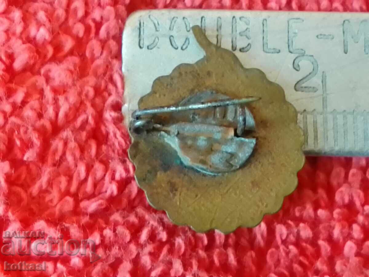 Παλιό σήμα μπρούτζινο λουλούδι σμάλτου Ρωσία ΕΣΣΔ Μόσχα με τιμή 10.50 BGN | € 5.37 Παλιό σήμα μπρούτζινο λουλούδι σμάλτου Ρωσία ΕΣΣΔ Μόσχα με τιμή 10.50 BGN | € 5.37