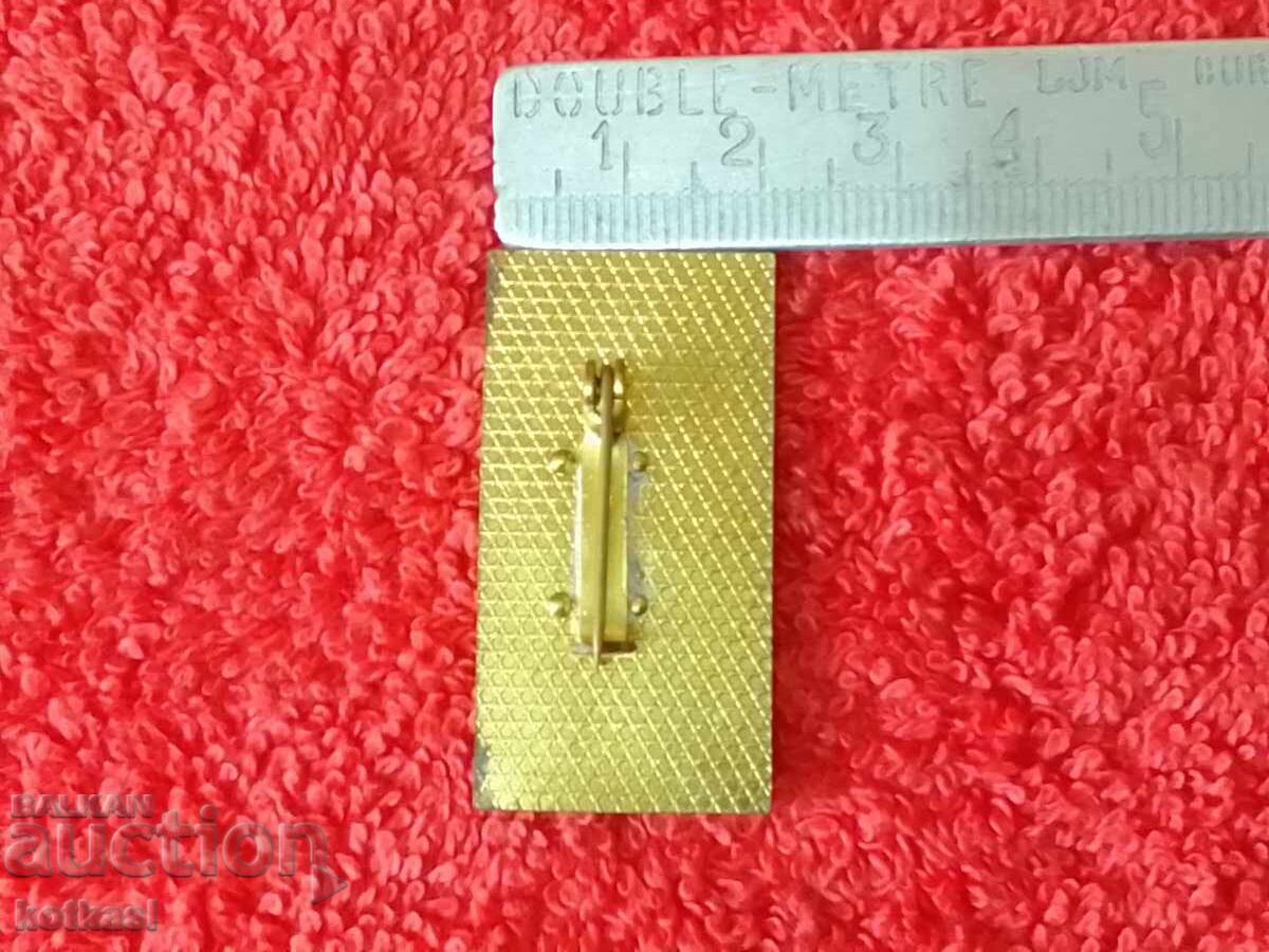 Old badge Germany victims of the massacre in the town of GARDELEGEN with price 10.50 BGN | € 5.37